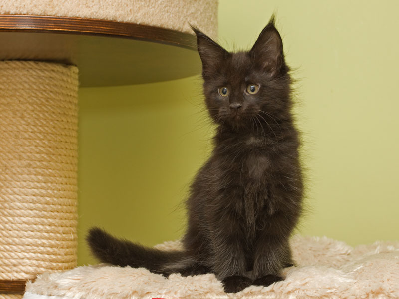 Esmee Armentarius*PL