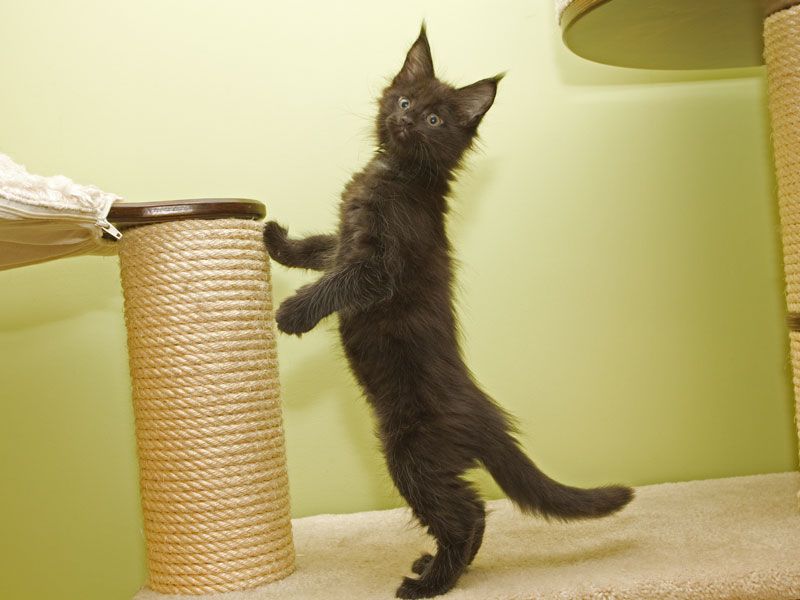 Esmee Armentarius*PL