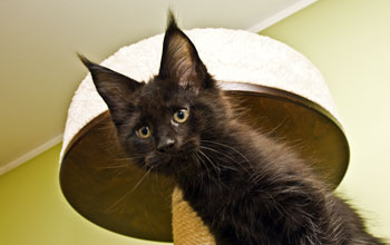 Esmee Armentarius*PL